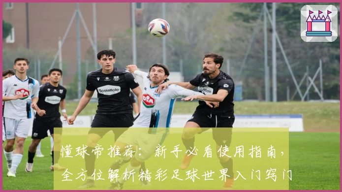 懂球帝推荐：新手必看使用指南，全方位解析精彩足球世界入门窍门