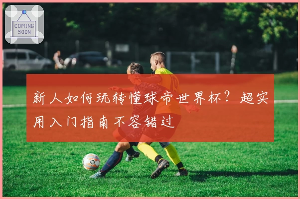 新人如何玩转懂球帝世界杯？超实用入门指南不容错过