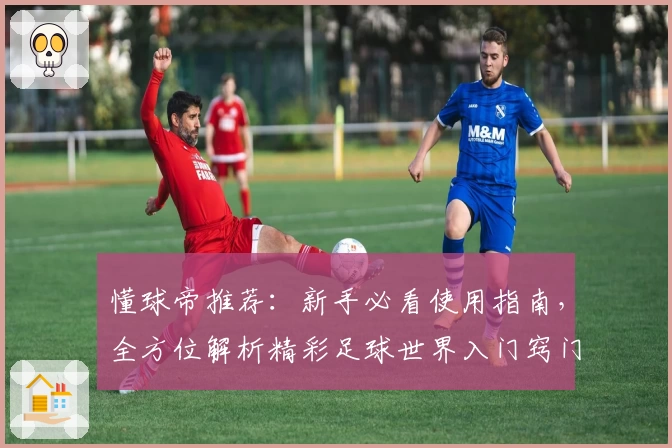 懂球帝推荐：新手必看使用指南，全方位解析精彩足球世界入门窍门